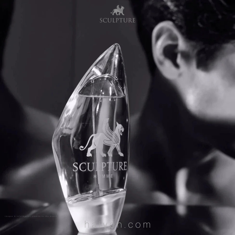 SCULPTURE Sculpture M EDT 100ML
