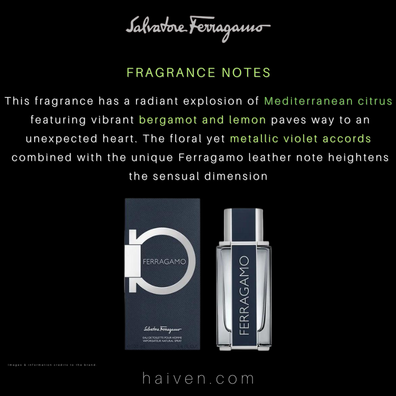 SALVATORE FERRAGAMO Ferragamo by Ferragamo M EDT 100ML