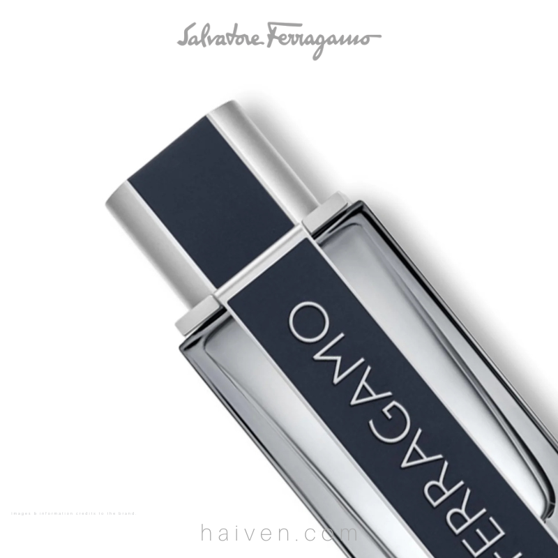 SALVATORE FERRAGAMO Ferragamo by Ferragamo M EDT 100ML
