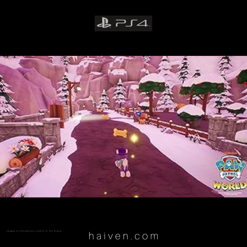 Paw Patrol World – PS4