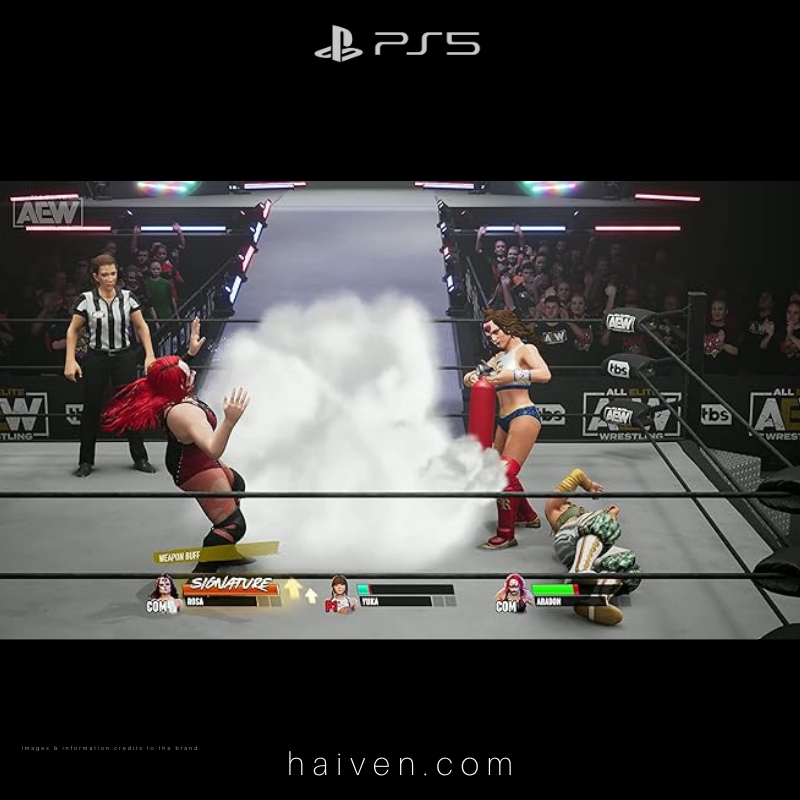 AEW: Fight Forever – PS5