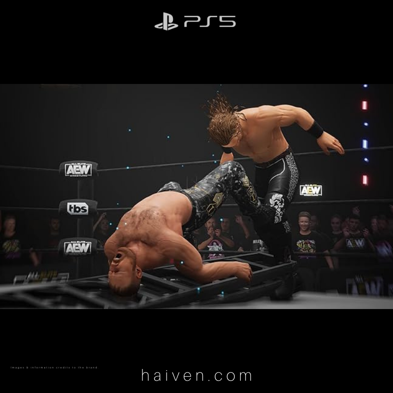 AEW: Fight Forever – PS5