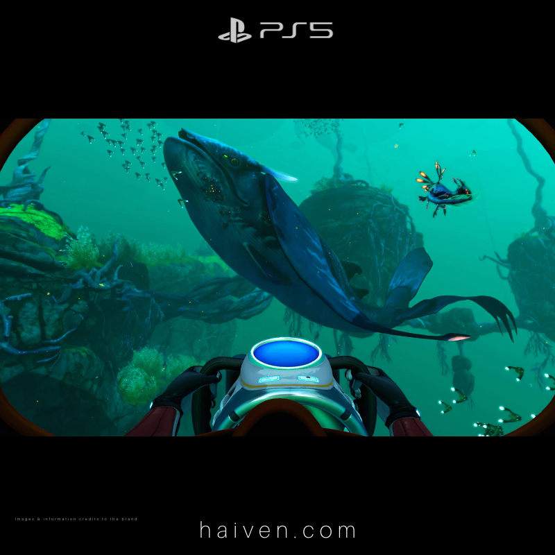 Subnautica: Below Zero – PS5