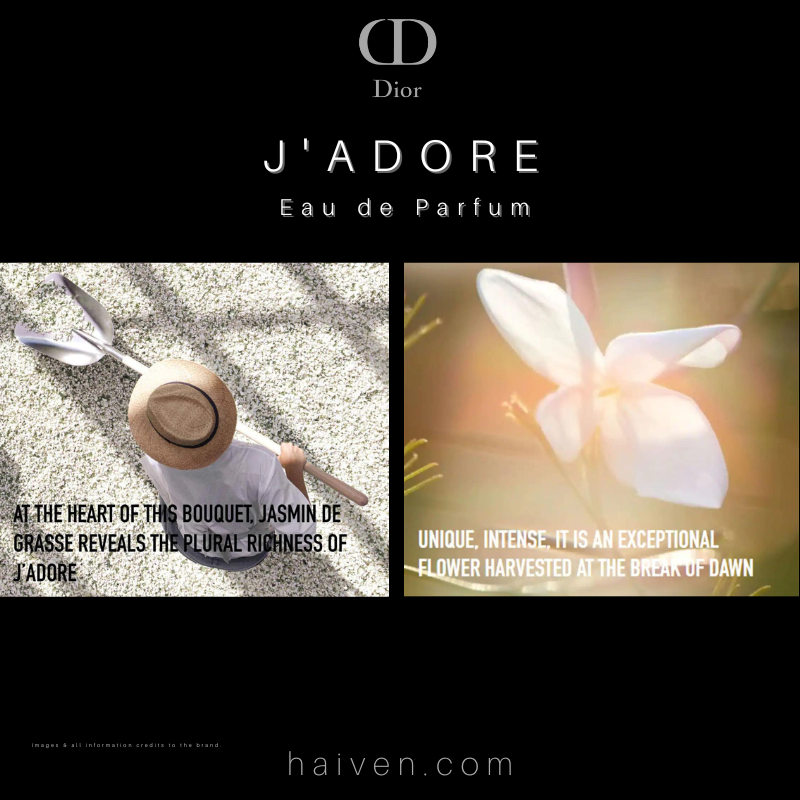 Dior J'adore Eau de Parfum 100ml