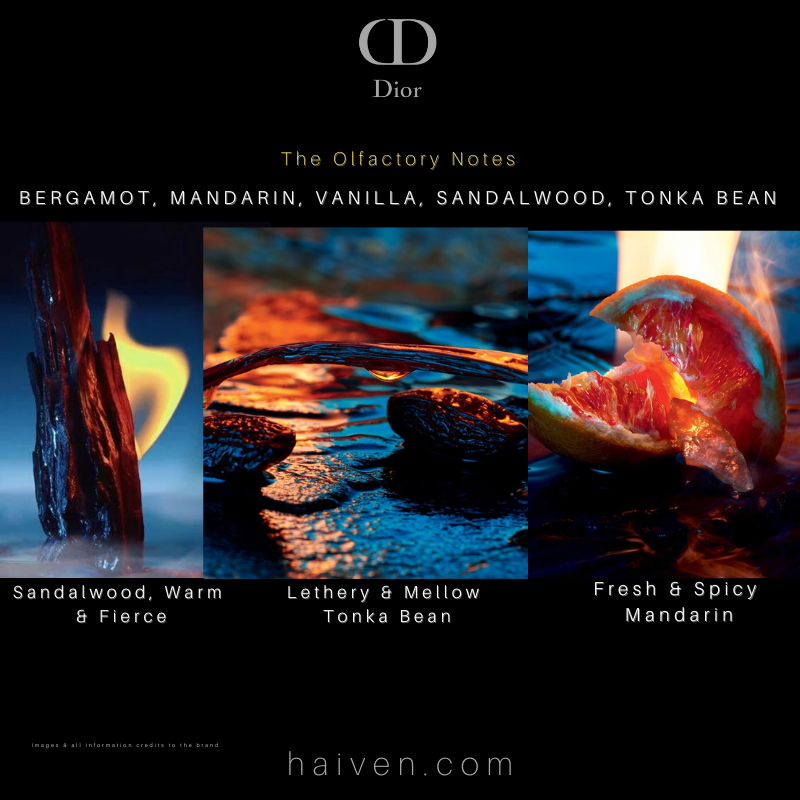 Dior Sauvage Parfum 100ml