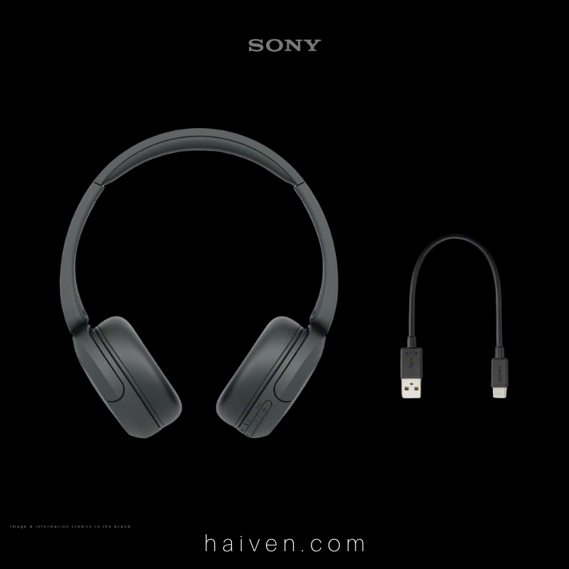 Sony WH-CH520 Wireless Headphones
