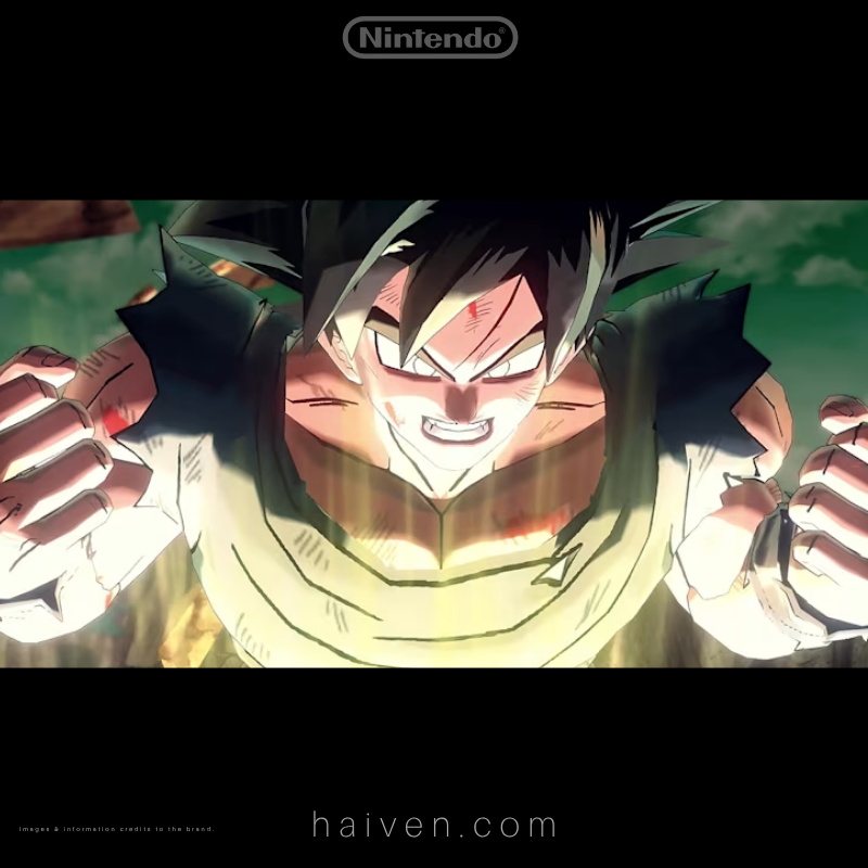Nintendo Switch Dragon Ball Xenoverse 2 Game Card