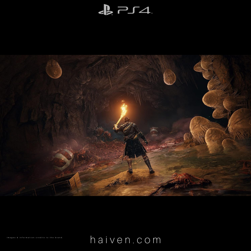 ELDEN RING – PS4 (VF 70)