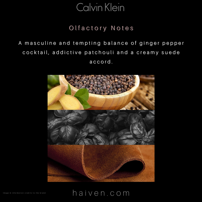 Calvin Klein Euphoria Men Eau de Toilette 100ml