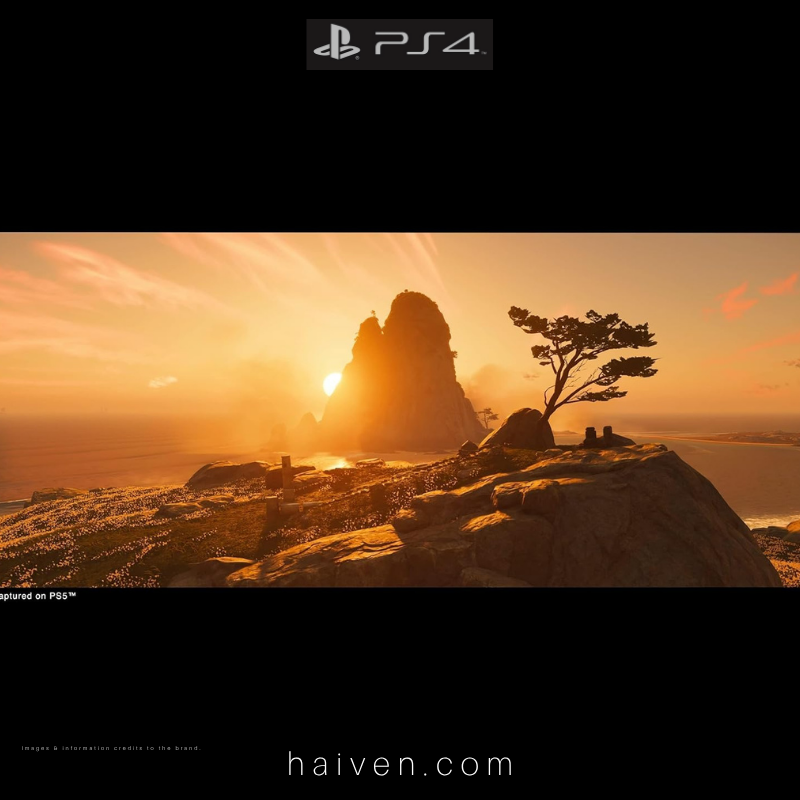 PS4 Call of Duty: WWII