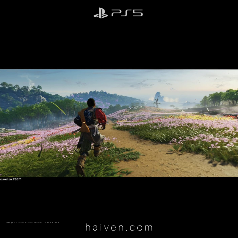 PS5 Ghost of Tsushima: Director’s Cut