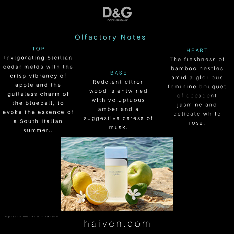 Dolce & Gabbana Light Blue EDT 100ML