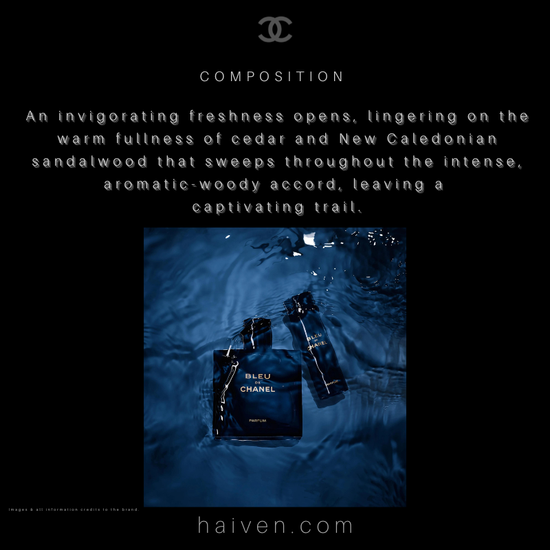 Chanel Bleu De Chanel Parfum 100ML