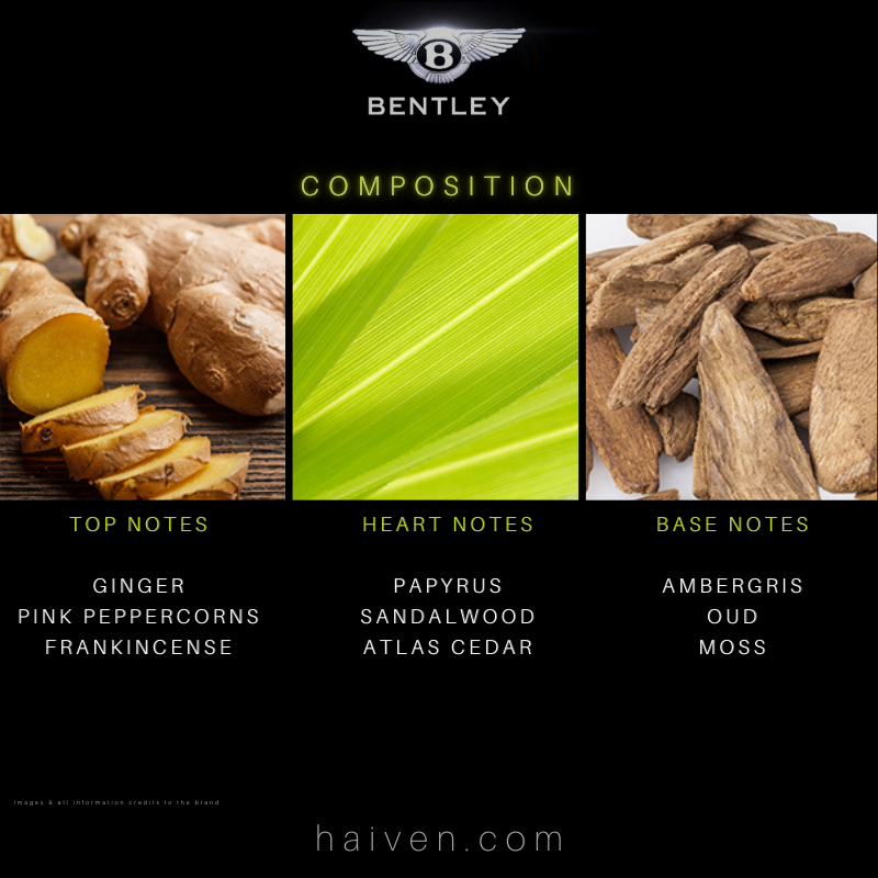 Absolute by Bentley perfume for men Eau de Parfum 100ml