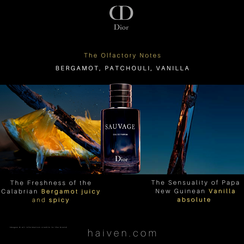 Dior Sauvage Eau de Parfum 100ml - 2025 Best-Seller