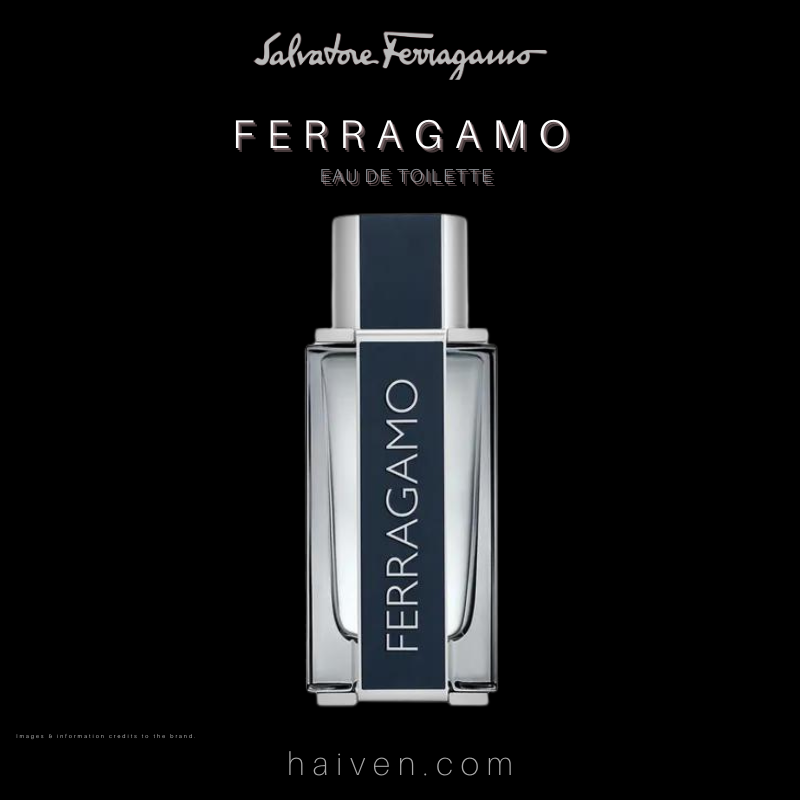 Salvatore Ferragamo Ferragamo Pour Homme EDT 100ML