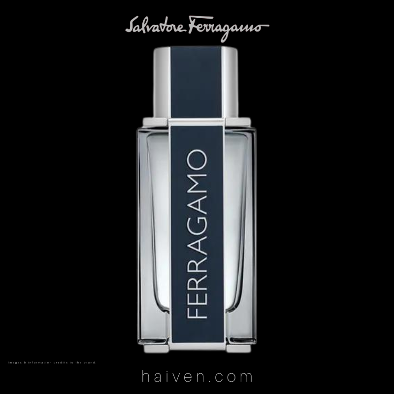 Salvatore Ferragamo Ferragamo Pour Homme EDT 100ML