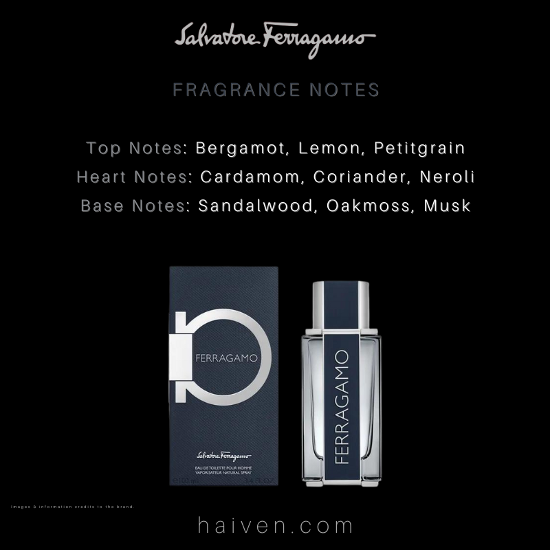 Salvatore Ferragamo Ferragamo Pour Homme EDT 100ML