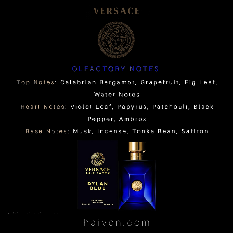 Versace Dylan Blue Pour Homme (M) EDT 100ML