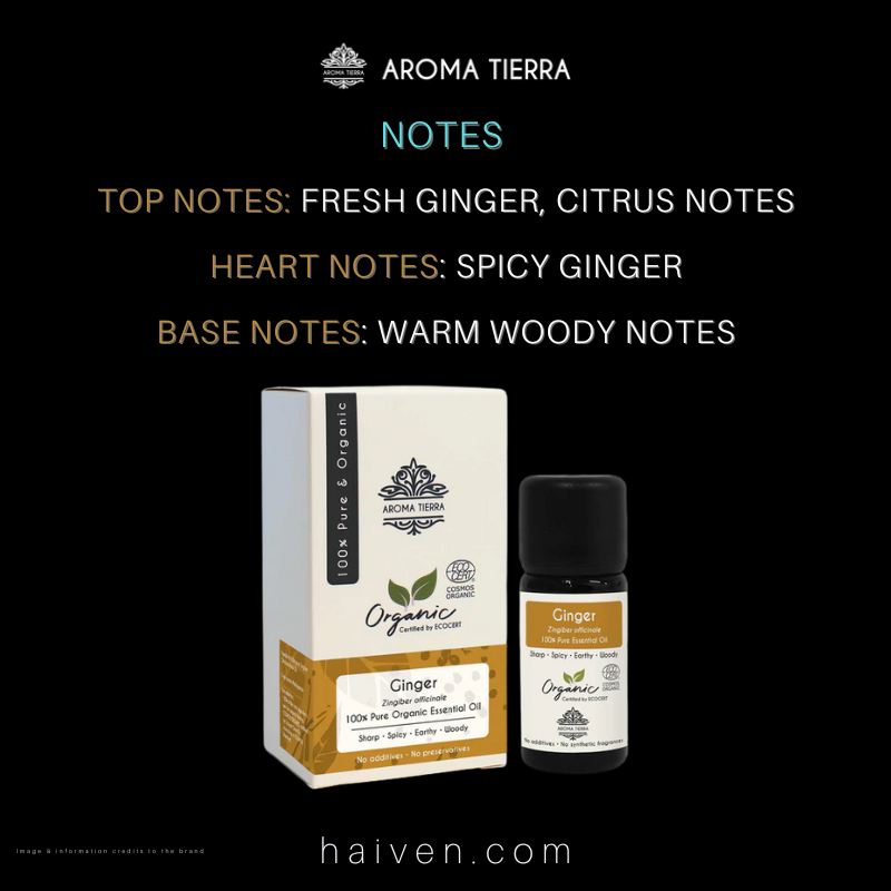 Aroma Tierra Organic Ginger Essential Oil 10 ml