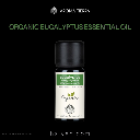 Aroma Tierra Organic Eucalyptus Essential Oil 10ml