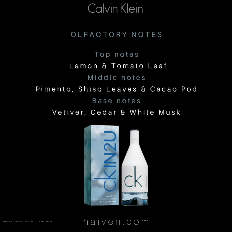 Calvin Klein IN2U for Him EDT 100ml