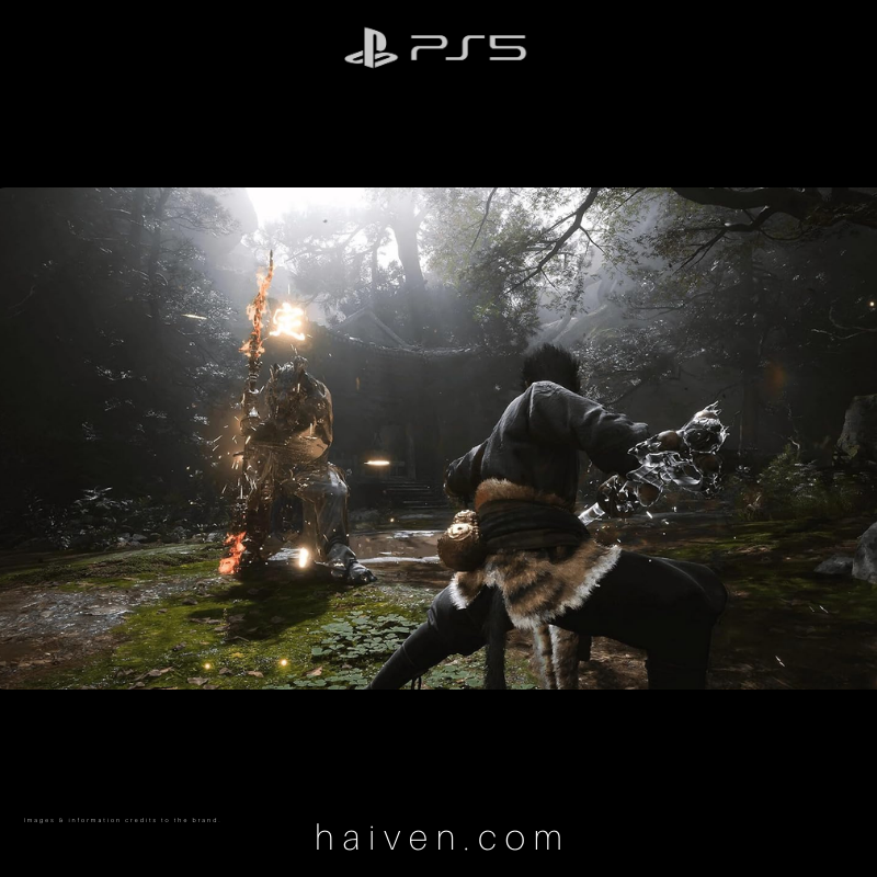 Black Myth: Wukong PS5