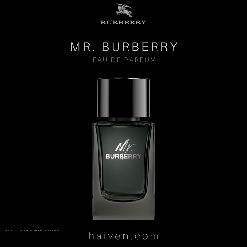 Burberry Mr. Burberry EDP 100ml