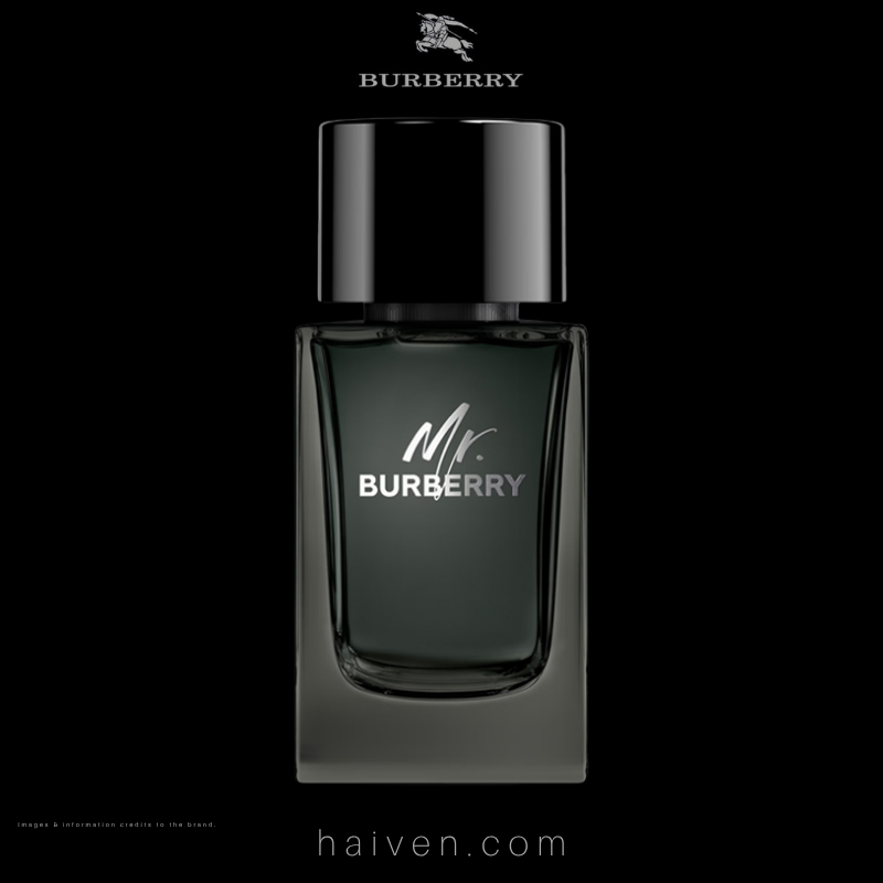 Burberry Mr. Burberry EDP 100ml