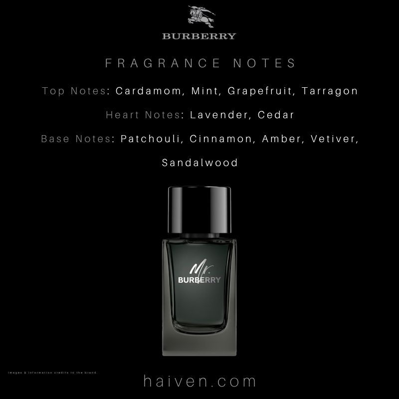 Burberry Mr. Burberry EDP 100ml