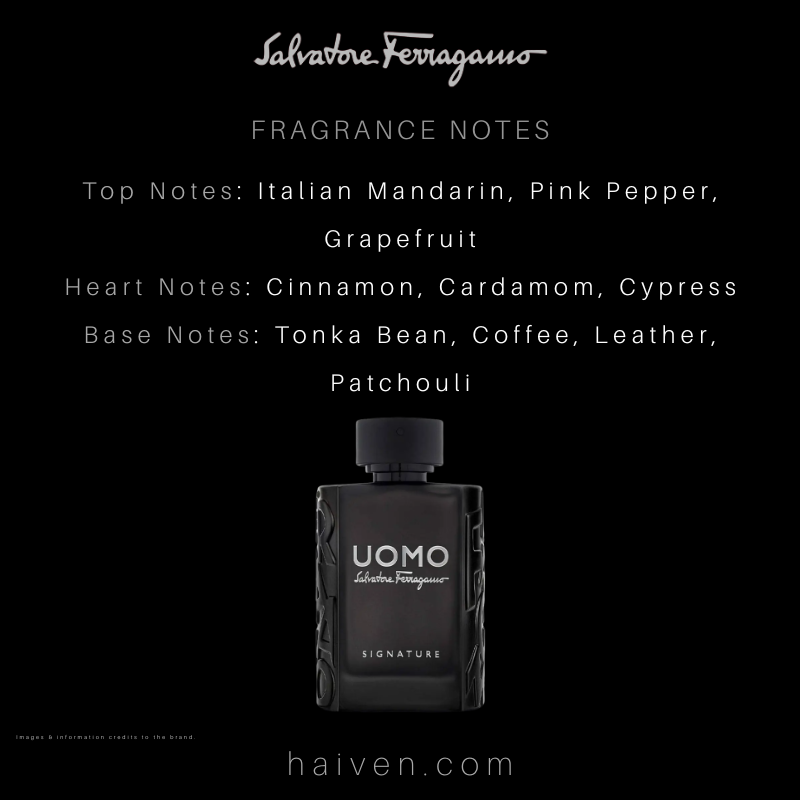 Salvatore Ferragamo Uomo Signature EDP 100ml
