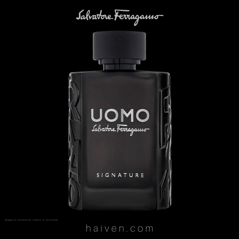 Salvatore Ferragamo Uomo Signature EDP 100ML — Best Seller