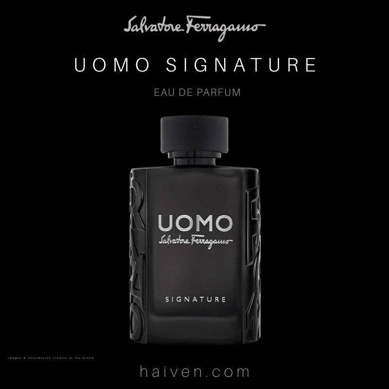 Salvatore Ferragamo Uomo Signature EDP 100ML — Best Seller