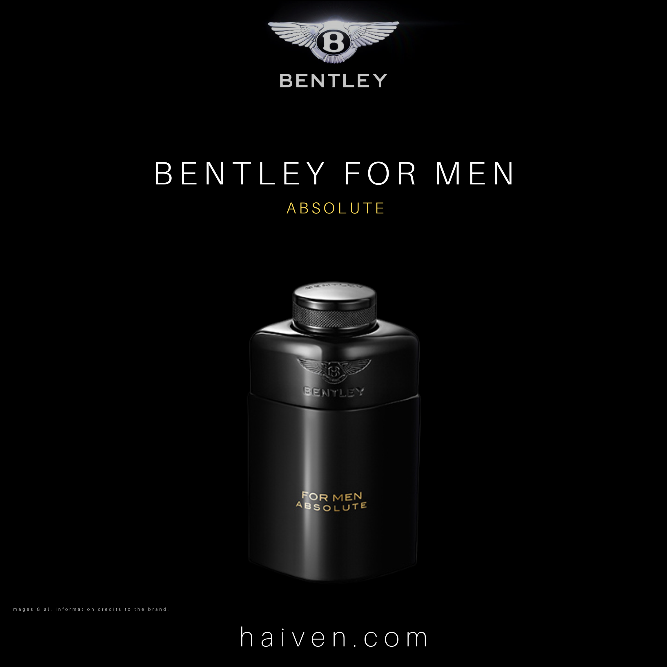 Bentley For Men Absolute EDP 100ML — Best Seller