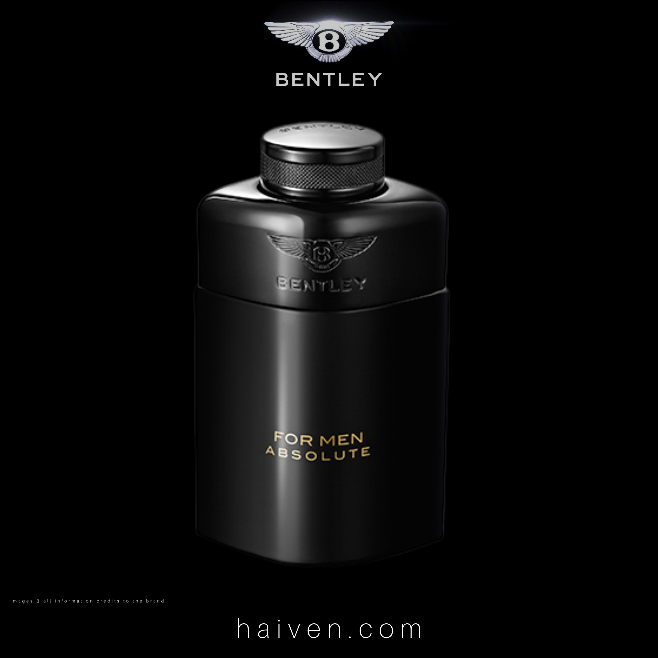 Bentley For Men Absolute EDP 100ML — Best Seller