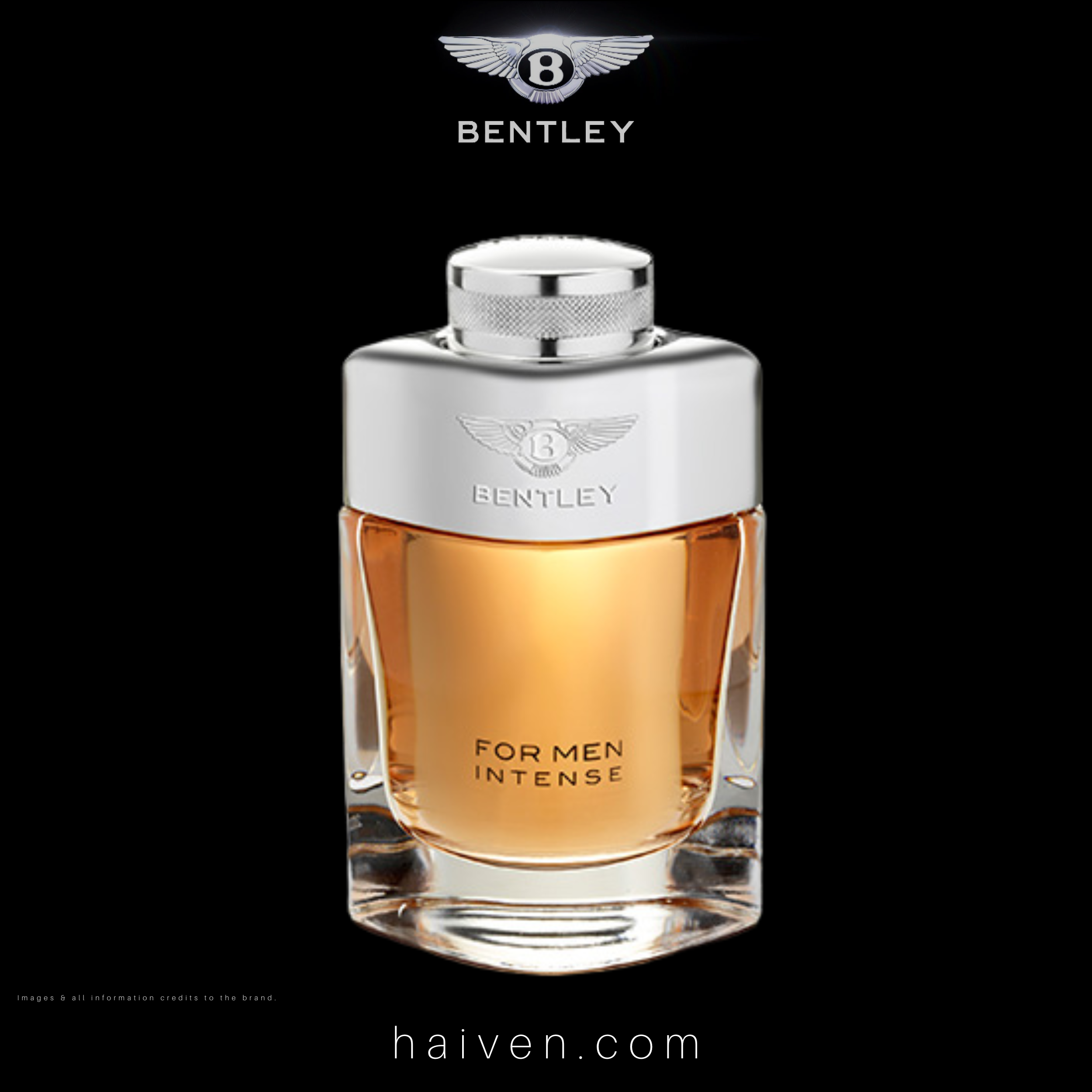 Bentley For Men Intense EDP 100ML — Best Seller