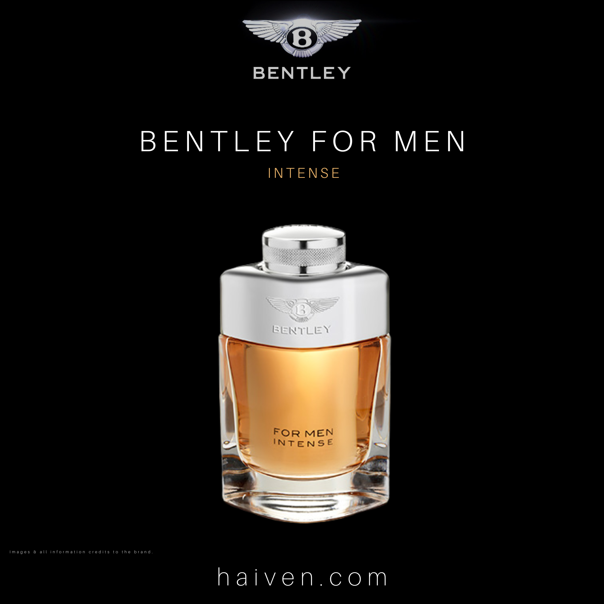 Bentley For Men Intense EDP 100ML — Best Seller