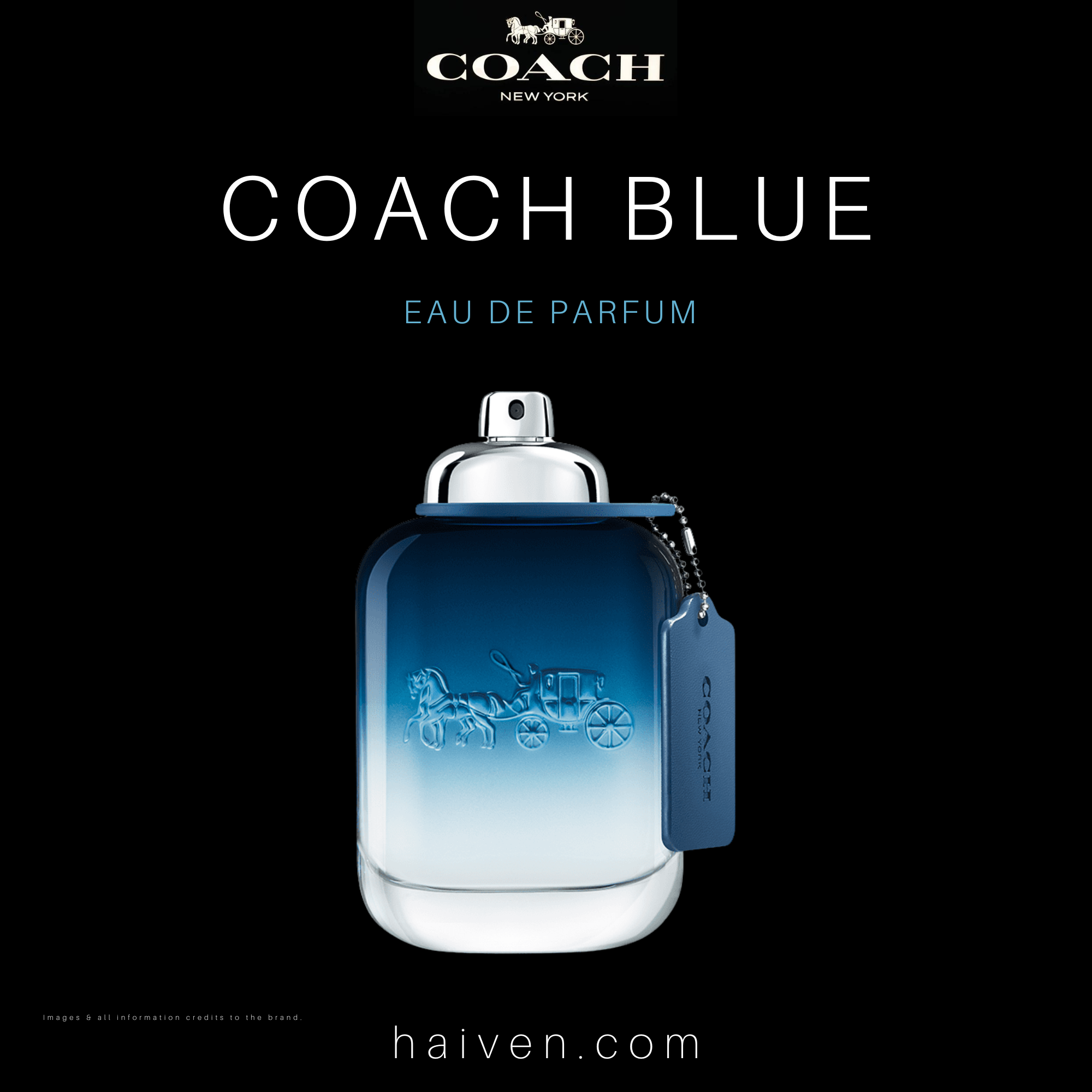 Coach Blue (M) EDP 100ML — Best Seller