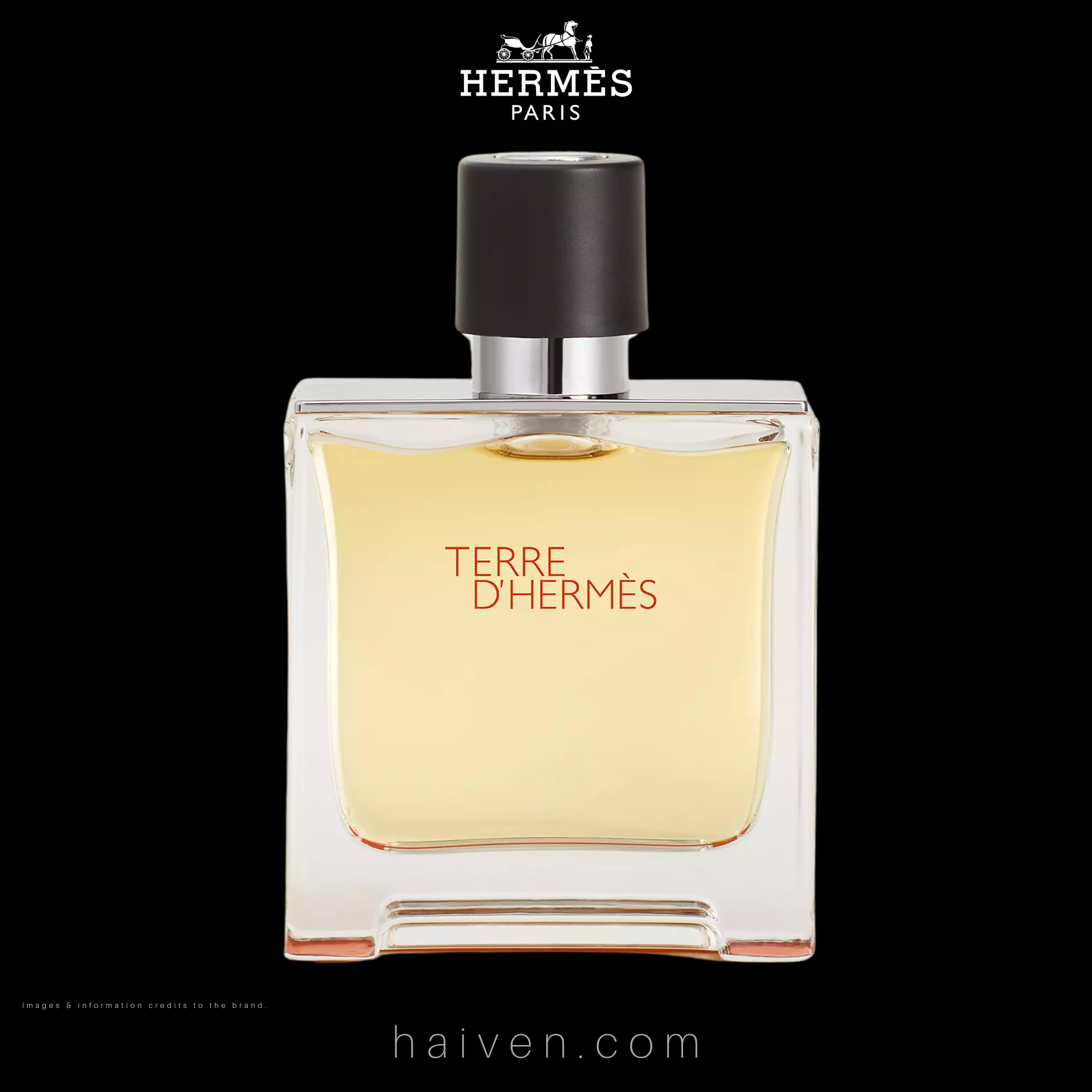 Hermès Terre d'Hermès Parfum 75ML — Best Seller