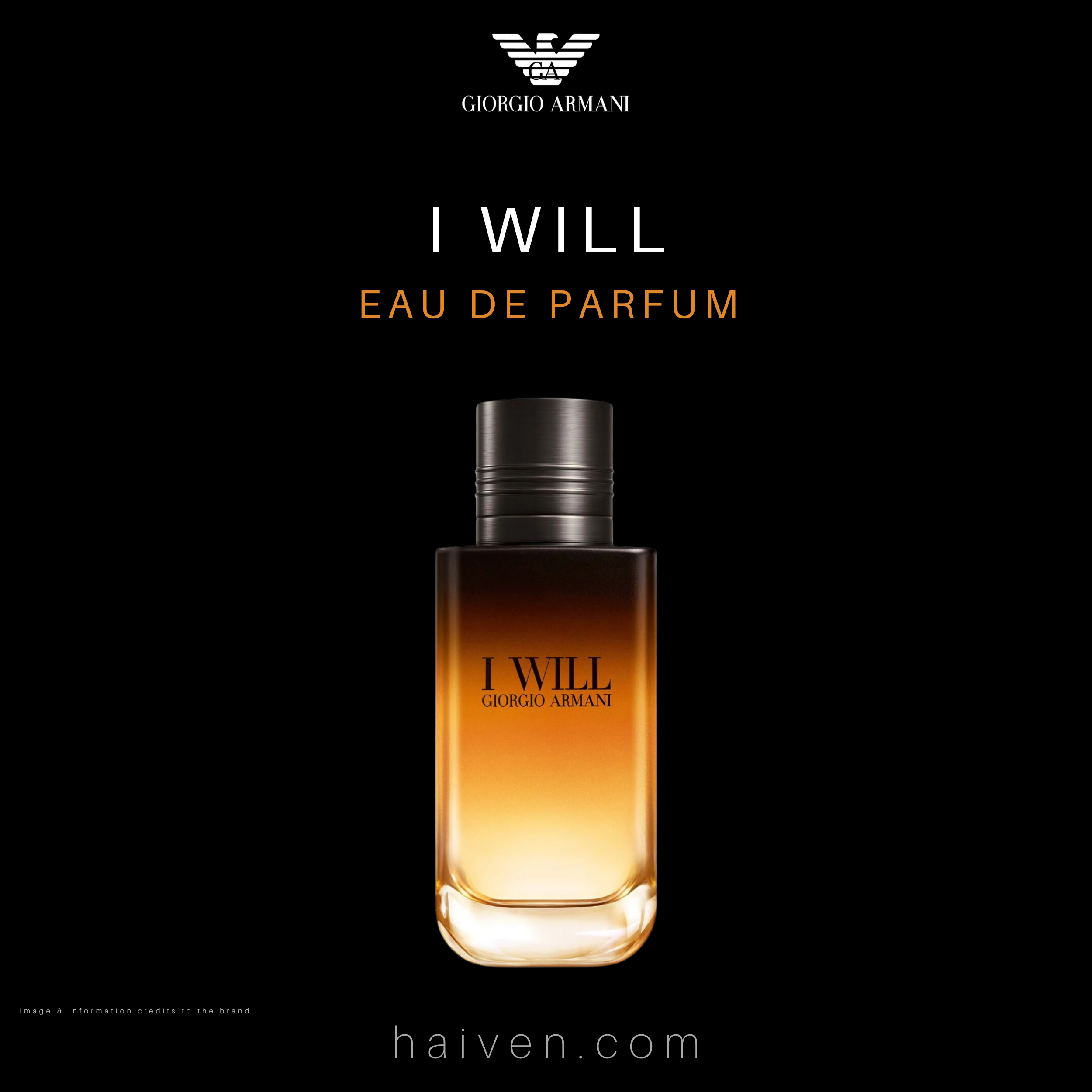 Giorgio Armani I Will Eau de Parfum 100ml