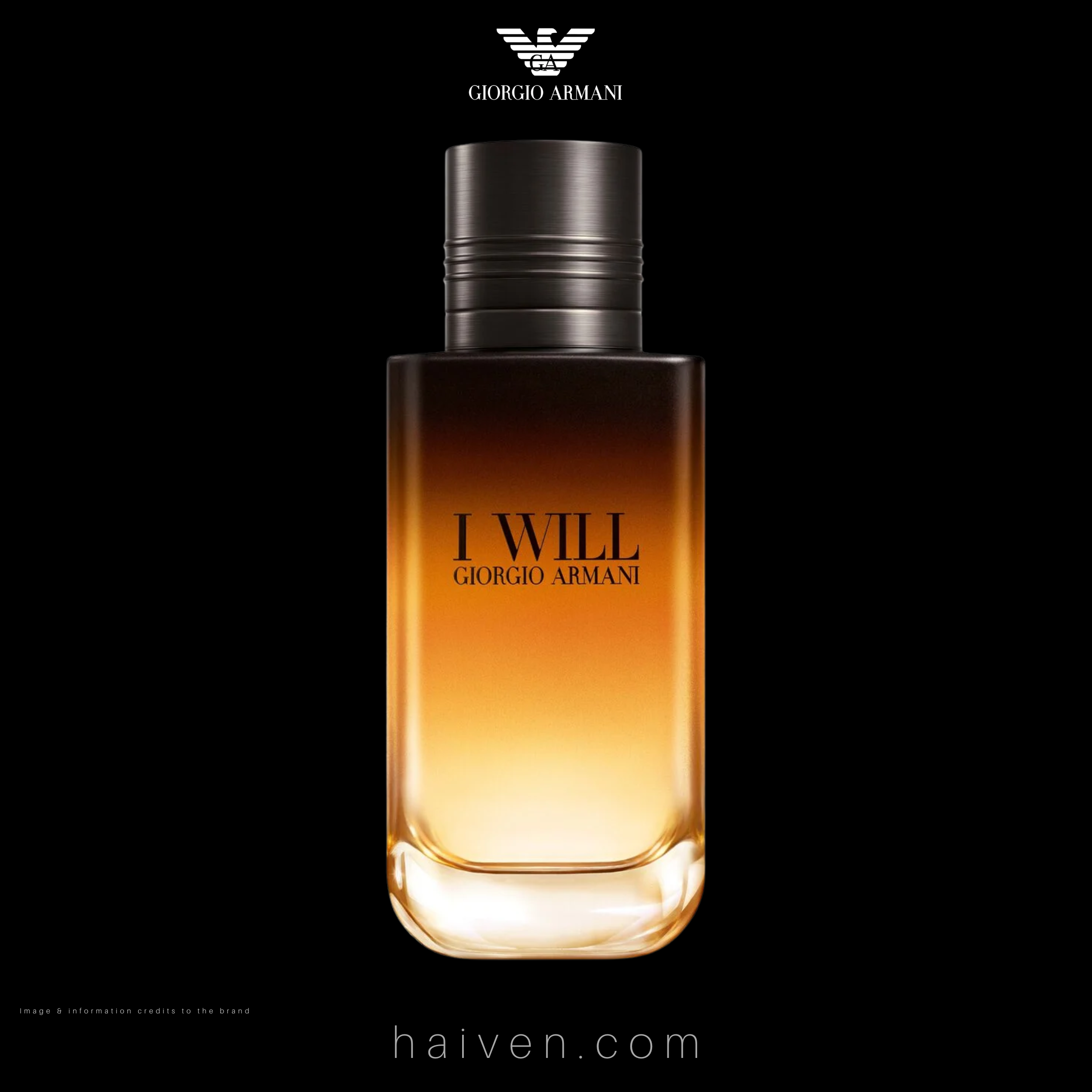 Giorgio Armani I Will Eau de Parfum 100ml