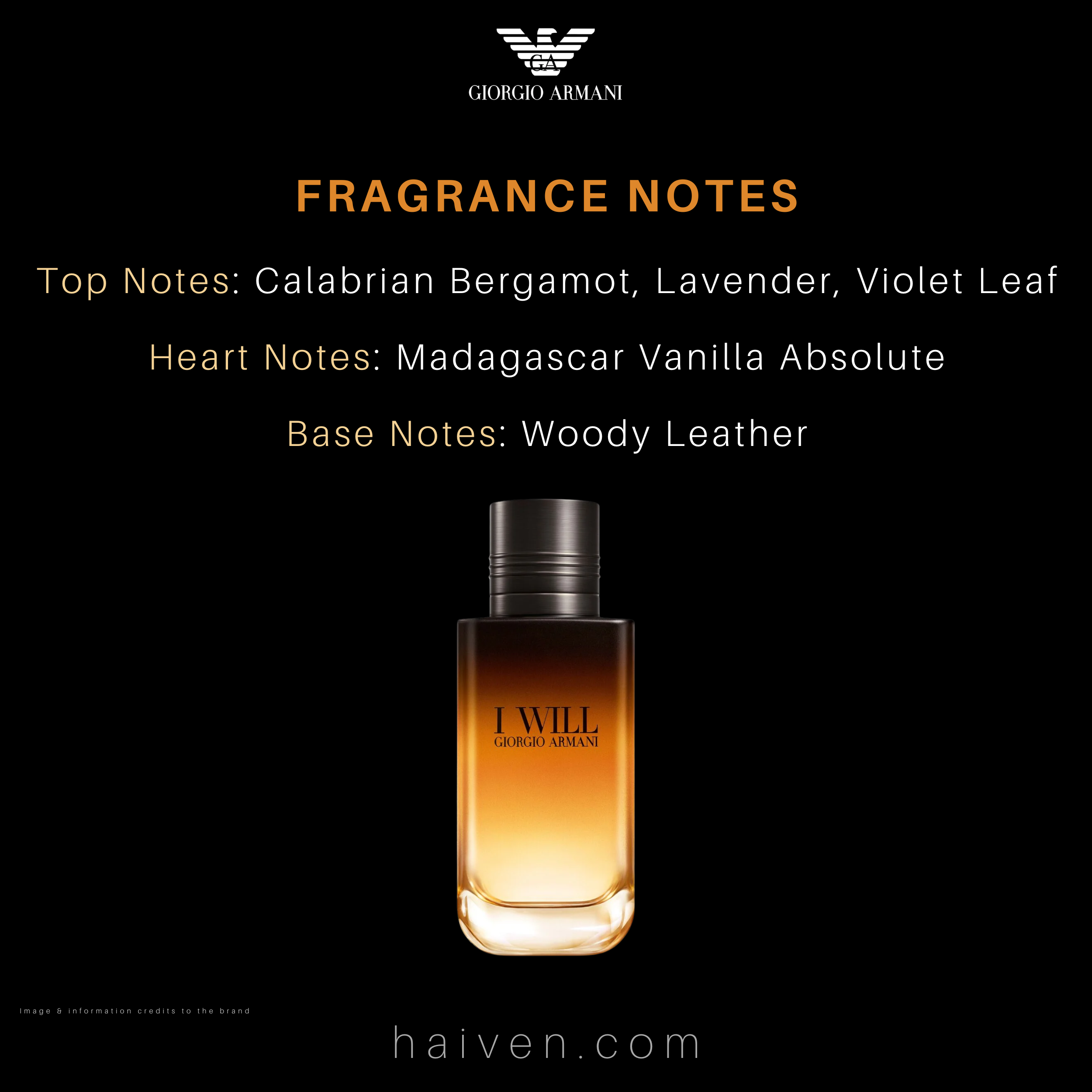 Giorgio Armani I Will Eau de Parfum 100ml