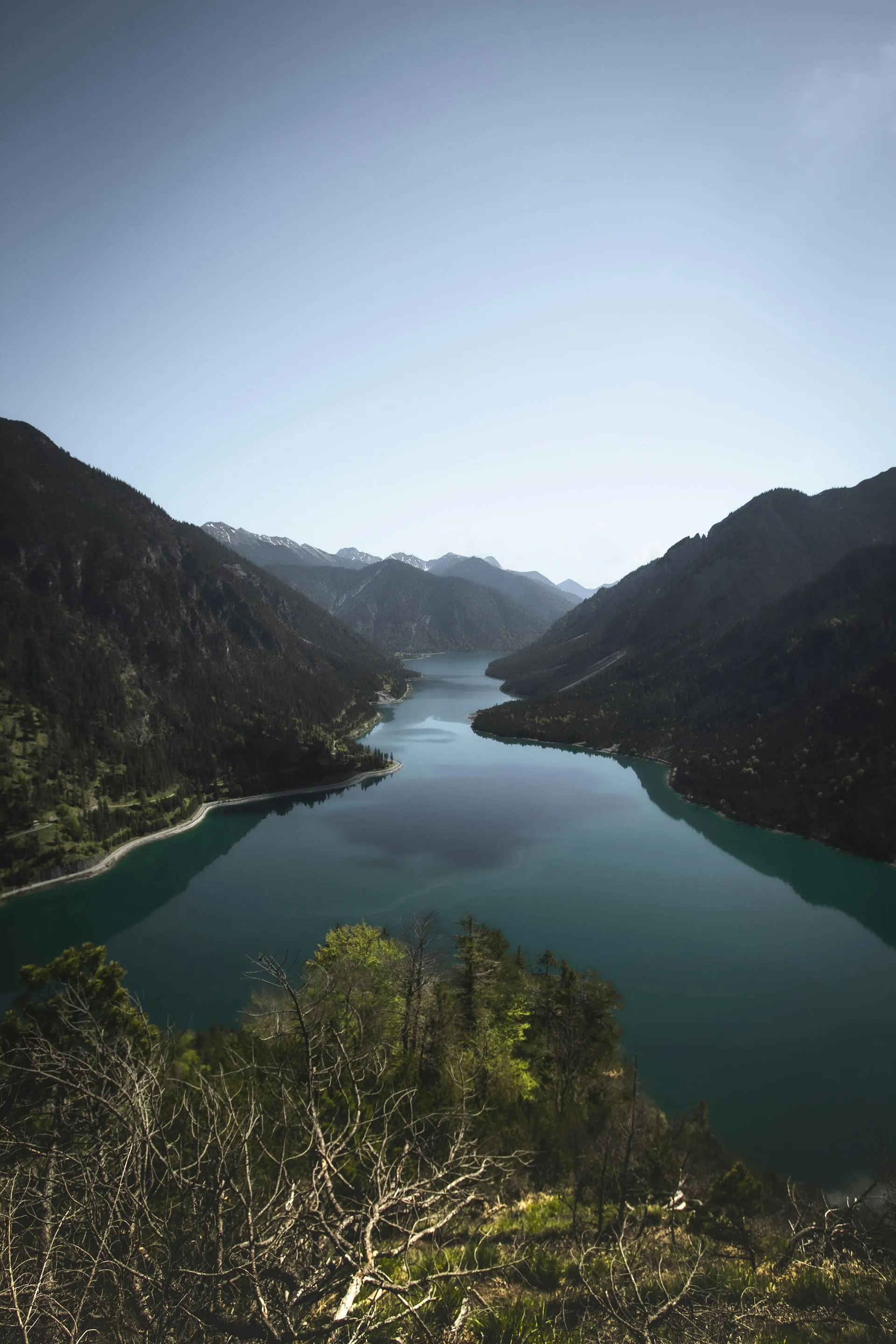 Wide view of a calm lake surrounded by forested mountains under a clear sky.