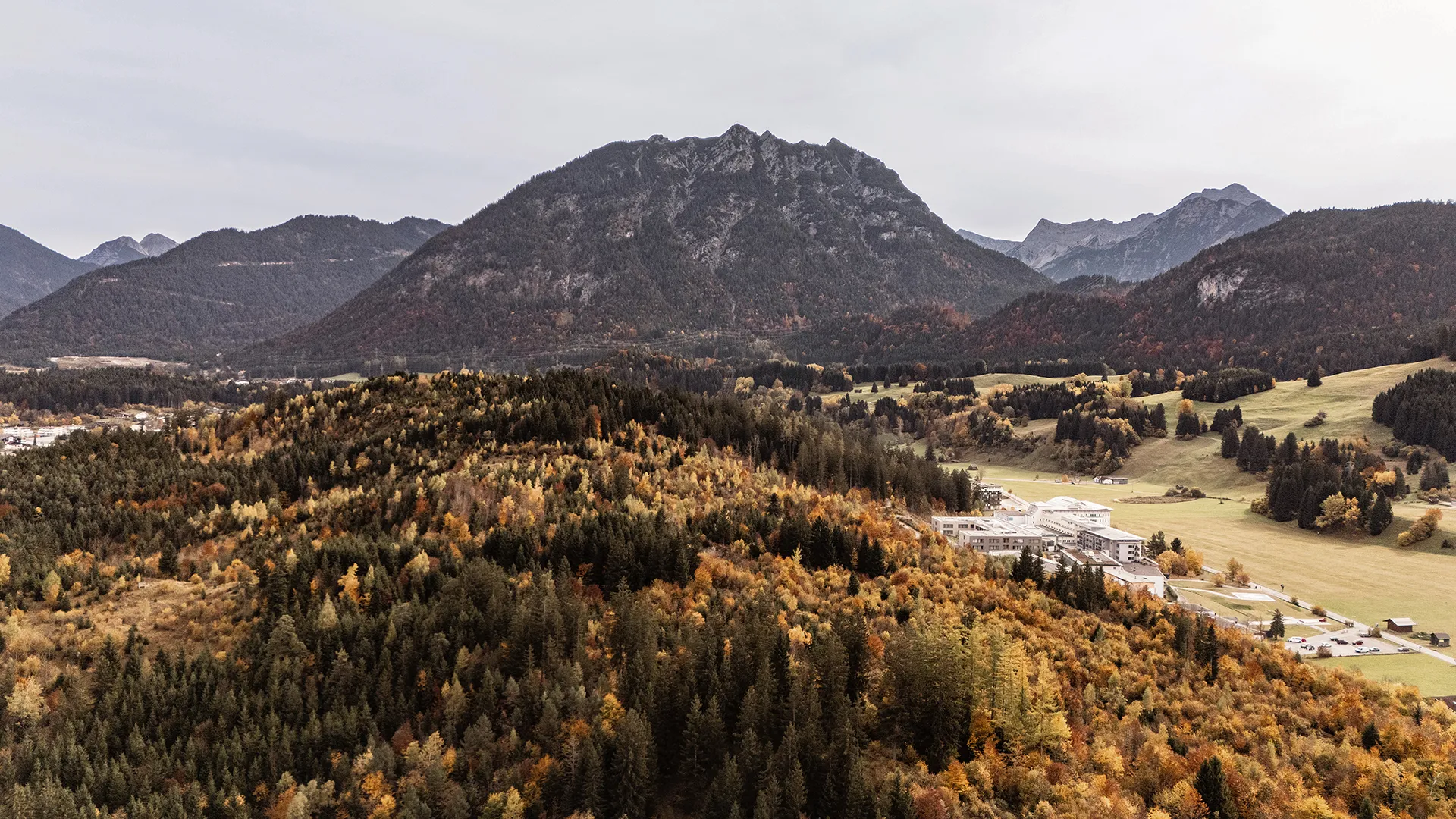 Autumn forest with colorful trees in front of large mountainous landscape under a cloudy sky.