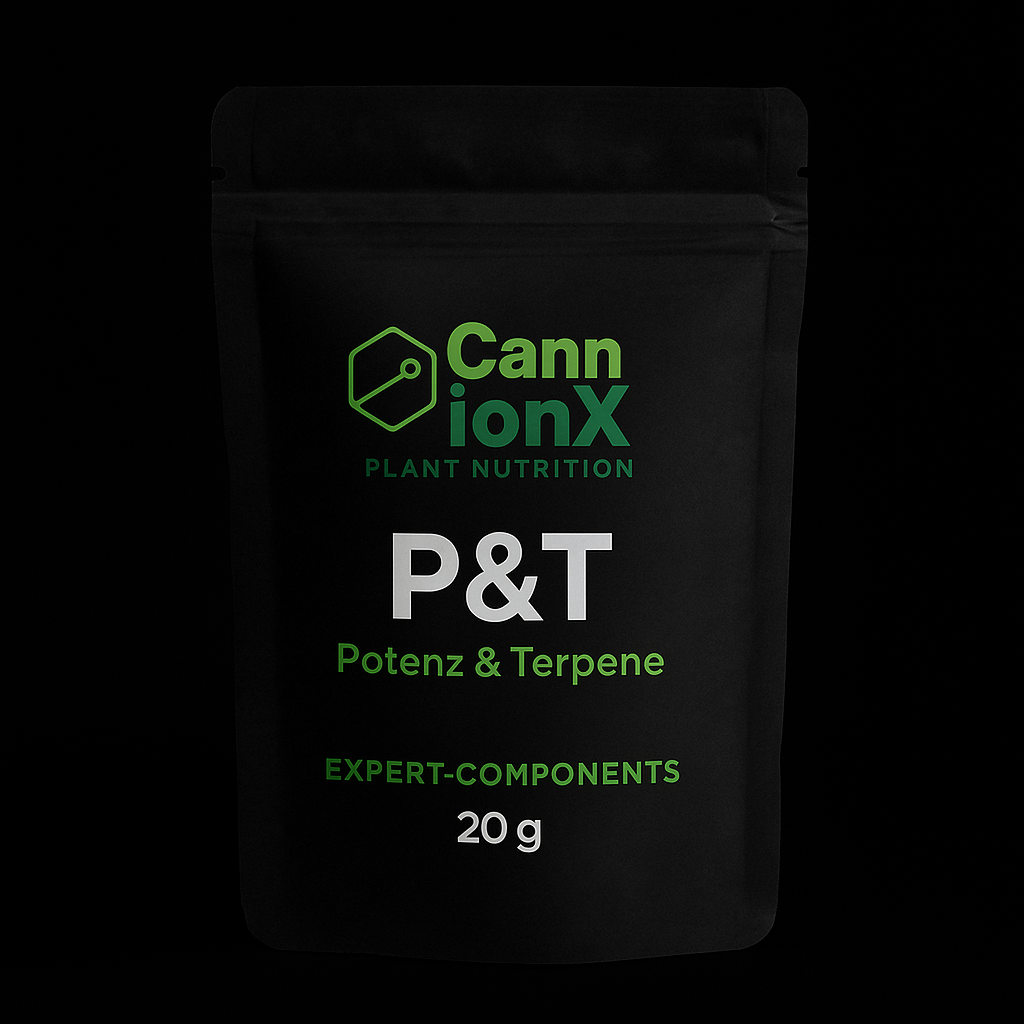 P&T Pack