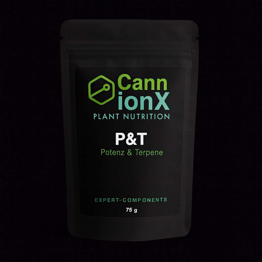 P&T Pack