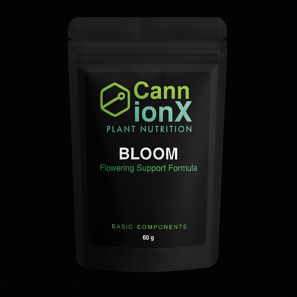 BLOOM pack