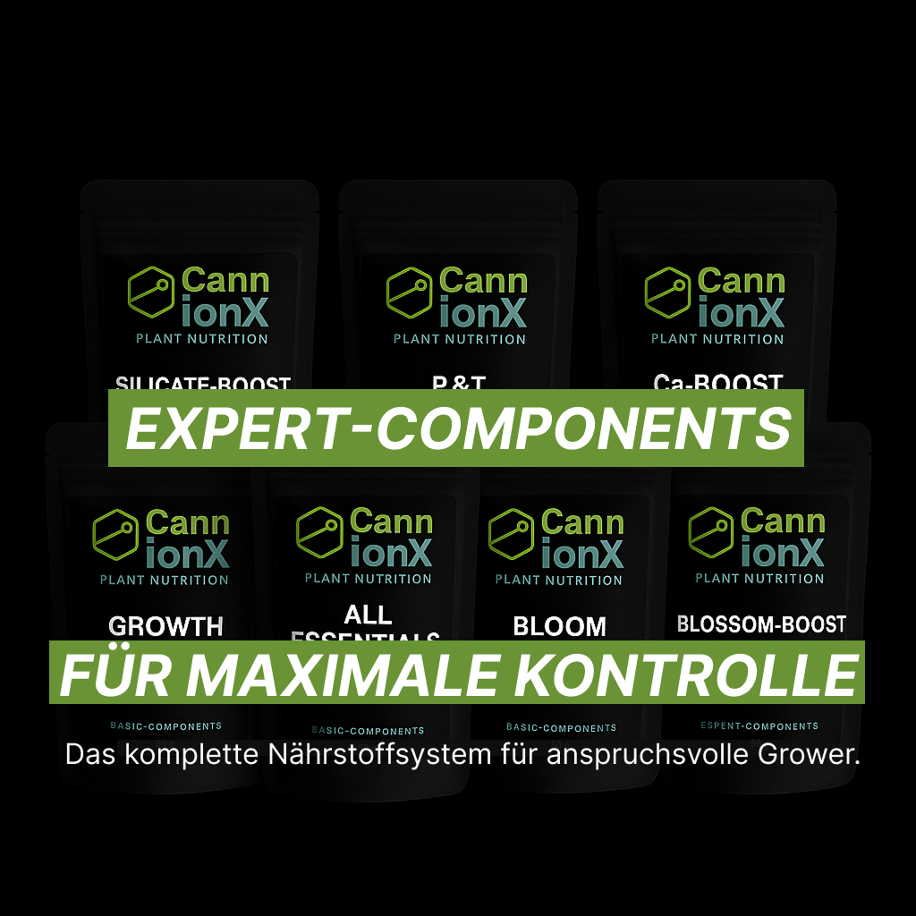 EXPERT-COMPONENTS group large