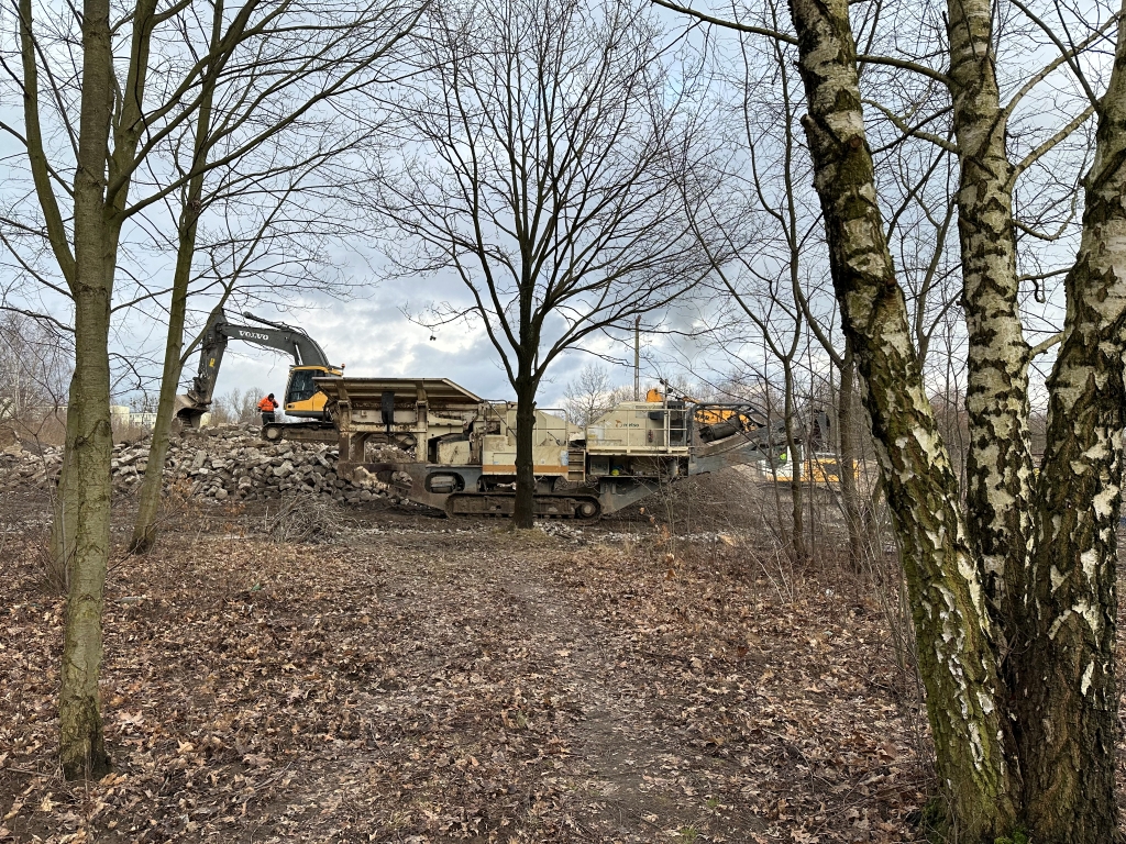 Construction site with excavator, heavy machinery, and workers among leafless trees and dried leaves.