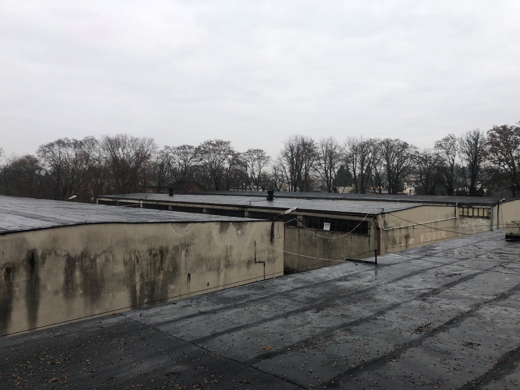 Flat rooftop area with weathered walls and bare trees under an overcast sky.